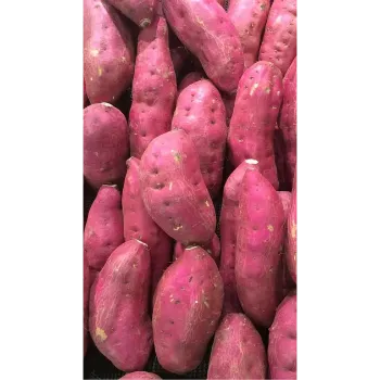 Oragnic Sweet Potato 
